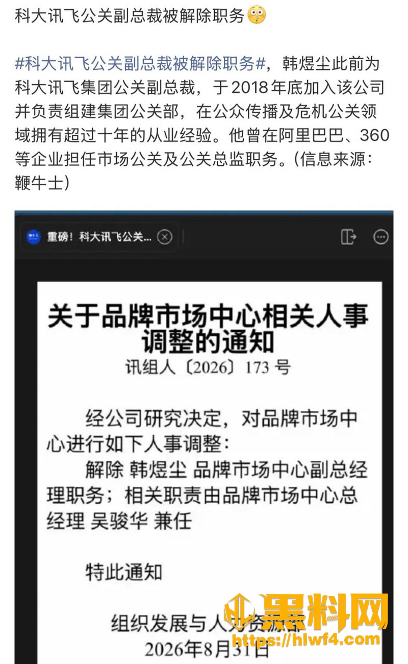 14科大讯飞公关副总裁出轨2 4wm
