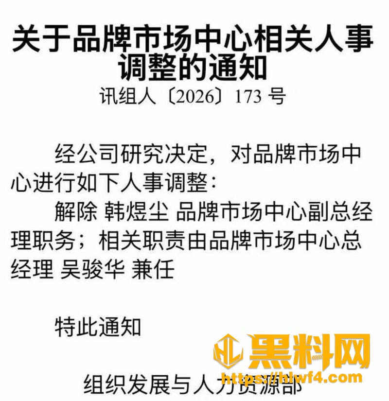16公关高管危机婚姻事件2 6wm