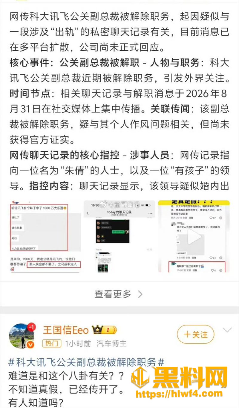17科大讯飞2 7wm